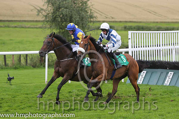 03rd Exit Seven ( 5 , white, royal blue sash ) and C.D. Maxwell (3) - Trainer : T.G.McCourt - Owner : Mrs J. Manley/P.B. Cosgrove