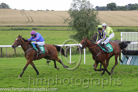 04th Sand Artist ( 11 , light green, purple chevron ) and J.W. Kennedy (7) - Trainer : Gordon Elliott - Owner : Christopher Donnelly