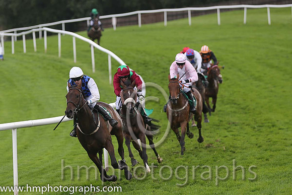 R7 - Present Flower  Mr P F Casey win (11, royal blue  blackl check)