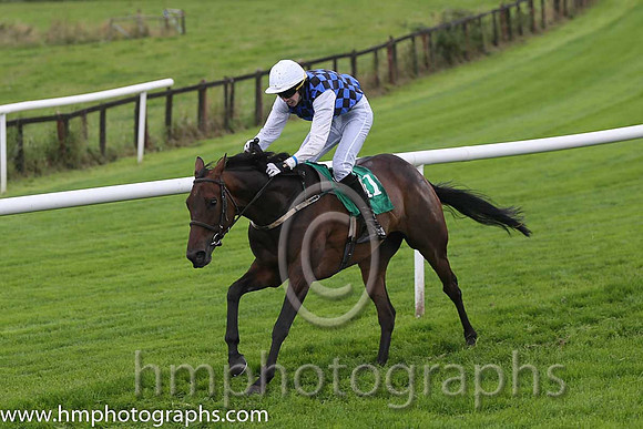 01st Present Flower ( 11 , royal blue and black check ) and P.F. Casey (7) - Trainer : Paul Cashman - Owner : M.C. Fahy