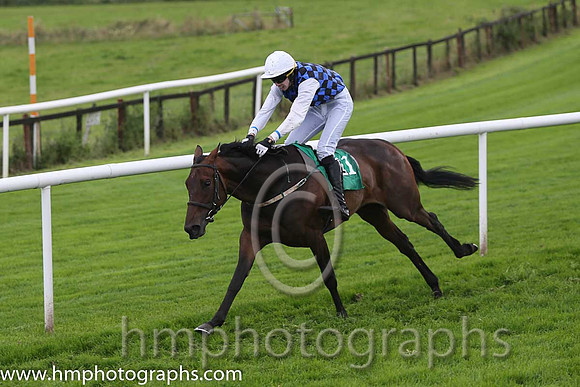 01st Present Flower ( 11 , royal blue and black check ) and P.F. Casey (7) - Trainer : Paul Cashman - Owner : M.C. Fahy