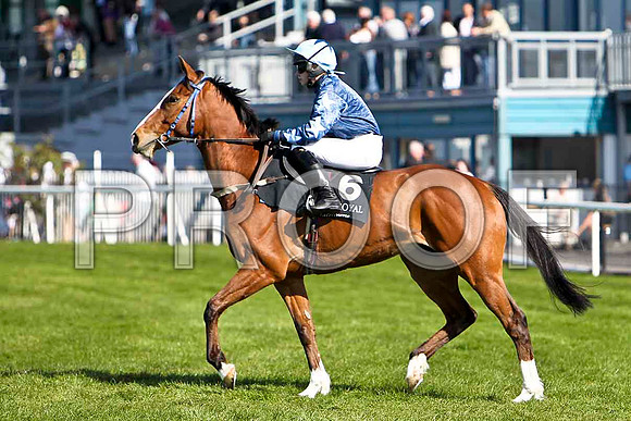Oscars Daw - 6th, Jockey Ms L O'Neill - FT8E2235-e