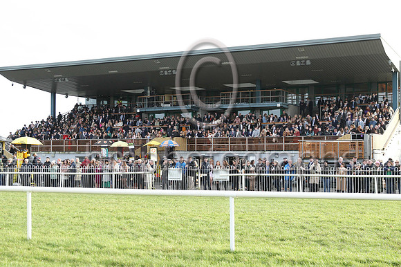 Spectators at Down ROyal on 24th January 2023
