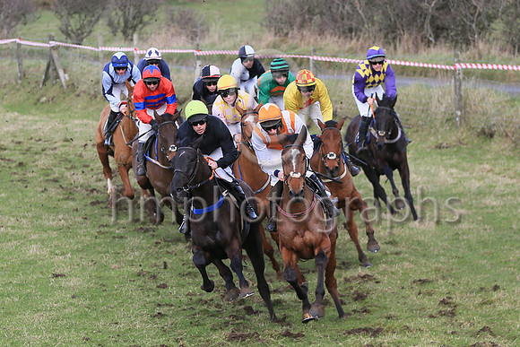 01st Bective Abbey (11, pink and yellow check) ridden by D McGill, trained and owned by Warren Ewing winners of the Dennison JCB Maiden Race for 5 year old geldings at the at the East Down Point to Po