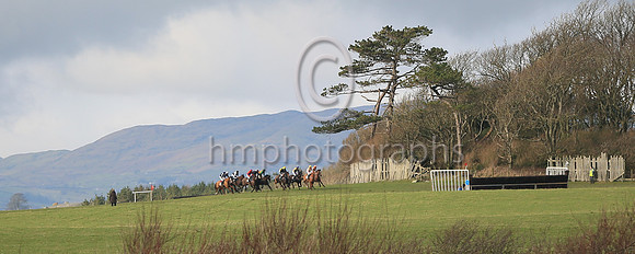 Point to Point Racing at Tyrella on 28th January 2023