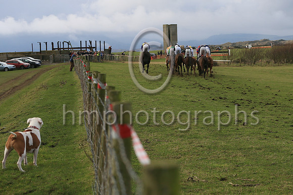 Point to Point Racing at Tyrella on 28th January 2023
