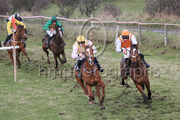 01st Bective Abbey (11, pink and yellow check) ridden by D McGill, trained and owned by Warren Ewing winners of the Dennison JCB Maiden Race for 5 year old geldings at the at the East Down Point to Po