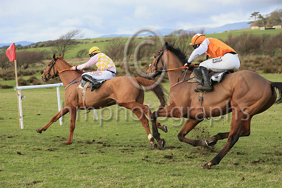 01st Bective Abbey (11, pink and yellow check) ridden by D McGill, trained and owned by Warren Ewing winners of the Dennison JCB Maiden Race for 5 year old geldings at the at the East Down Point to Po