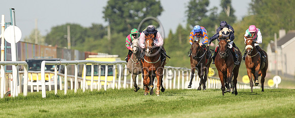 01st Glengarra and Billy Lee (1, dark blue, pink triple diamond)