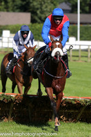 2015/08/28th - Musgrave Race Day Down Royal (all photographs)