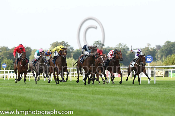 01 Fiesolana and W J Lee - - 01st (1 ,dark Blue, light blue cross sashes ) Trainer - W McCreery