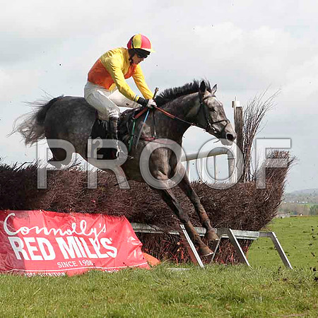 Lynx Edition - PU, Jockey - J C Barry - CU2D4609-e