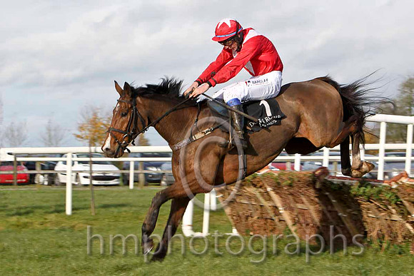 Latin Connection & Mr B G Crawford - Winner (1, red, white chevron) - FT8E7877-e2d