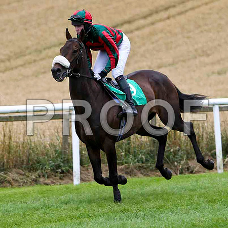 Leafy Arbour - 8th , Jockey Mr N M kelly  - FT8E3817-e