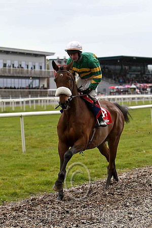 11 Fever Pitch & D J Casey - 11th (14, emerald green and orange hooped ) - FT8E2948-e