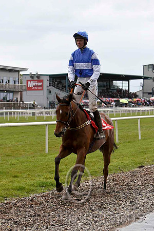 08 Askanna & Andrew J McNamara - 8th (2, royal blue, white hoop ) - FT8E2951-e