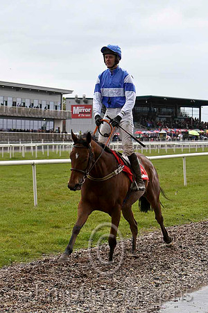 08 Askanna & Andrew J McNamara - 8th (2, royal blue, white hoop ) - FT8E2952-e