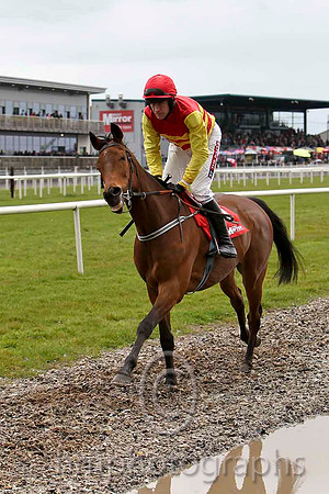 07 Norther Bay & B J Geraghty - 7th (4, red, dark blue hoop ) - FT8E2959-e