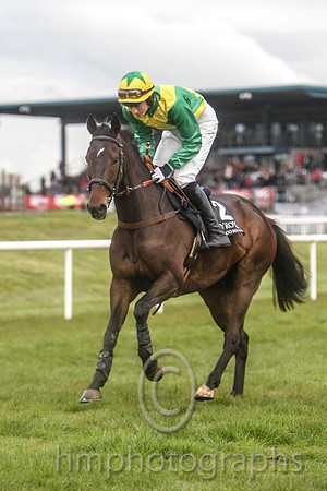 02 Supreme Doc & Mr D G Lavery - 2nd (2,emerald green,yellow cross sashes ) - FT8E3050-3