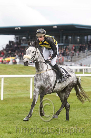 09 Robyns Pride & Mr S G Carey - PU (9, black and yellow chevrons )09 - FT8E3057-8