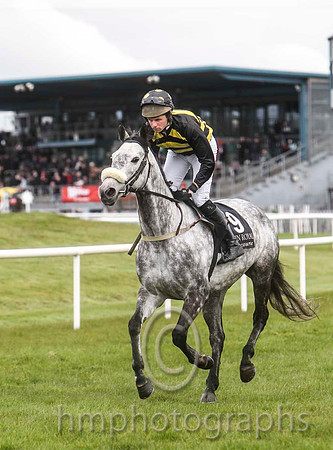 09 Robyns Pride & Mr S G Carey - PU (9, black and yellow chevrons ) - FT8E3056-7