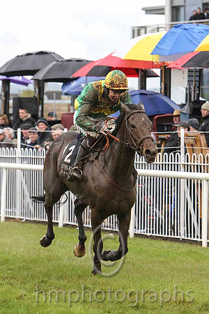02 Supreme Doc & Mr D G Lavery - 2nd (2,emerald green,yellow cross sashes ) - FT8E3087-36