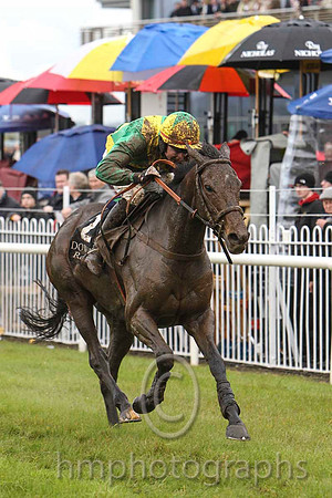 02 Supreme Doc & Mr D G Lavery - 2nd (2,emerald green,yellow cross sashes ) - FT8E3089-38