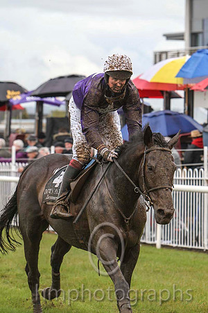 06 The Mull & Mr C Cully - 6th (4, purple, white star and cap ) - FT8E3098-44