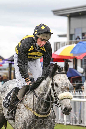 09 Robyns Pride & Mr S G Carey - PU (9, black and yellow chevrons ) - FT8E3102-47
