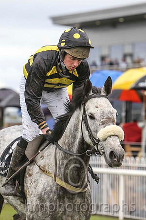 09 Robyns Pride & Mr S G Carey - PU (9, black and yellow chevrons ) - FT8E3103-1