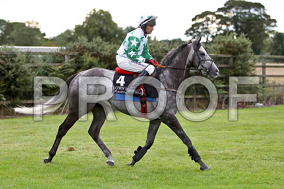 Mister Castlefield , Jockey P Carberry - CU2D1995-e