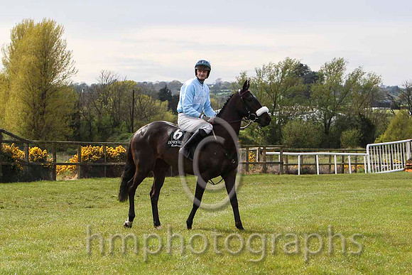 02 Brand Ambassador & Mr K E Power - 2nd (6, light blue, white hoop ) - FT8E3109-4