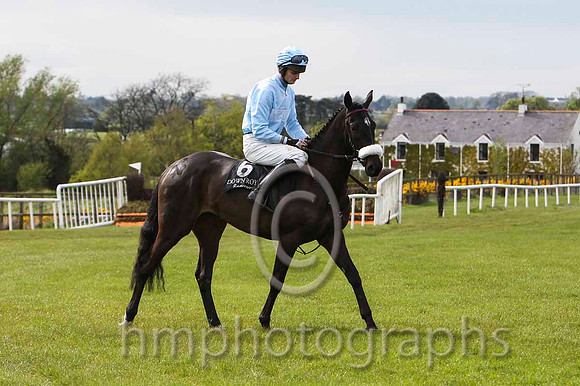 02 Brand Ambassador & Mr K E Power - 2nd (6, light blue, white hoop ) - FT8E3110-5