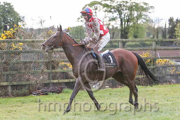 04 Blackstown Flyer & Mr C Cully - 4th (1, red and white diamonds) - FT8E3189-35
