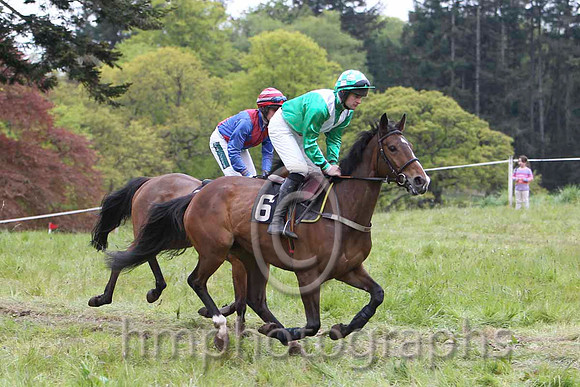 07 GAELIC ACCORD & B O'Neill - PU (3, blue, red cross belts) & 08 LITTLE LUV &  M J O'Hare - PU (6, green, white chevron) - FT8E4285-4