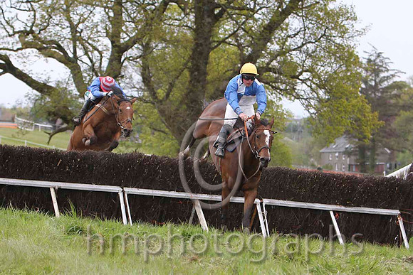 06 VIEW THE DANCE & B F Brabazon - PU (11, blue and white qtrd) - FT8E4309-16