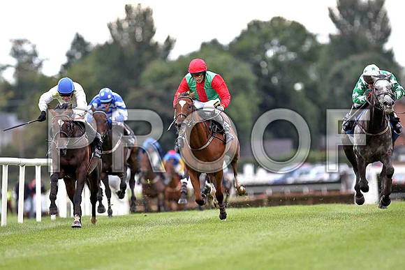Harrington 2nd, Allyonice 4th , Striking Force 1st , Jockey K H Clarke , Mister Castlefield 3rd - FT8E3765-e2