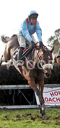Backstage , Winner , Jockey Derek O'Connor - FT8E6099-e2