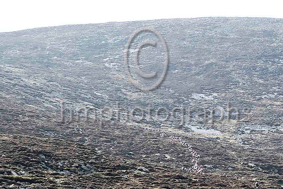 Climb up Meelmore - FT8E1222-e
