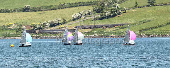 1st, Gold, 14256, Ger Owens & Melanie Morris, Wicklow SC & East Antrim BC - 1, 1, (2), 1, 1, 1 - Total = 7, Nett = 5