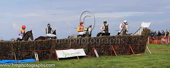 Sizing up the fence at The Route Point to Point Steeplechases at Portrush