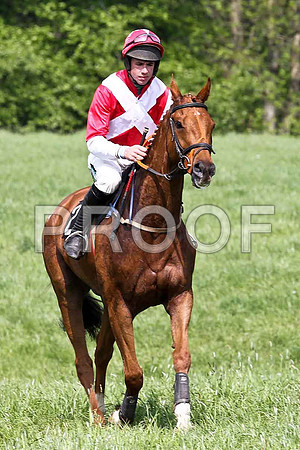 Fourth Race - Uasaka (2) 7th, Rider Derek O'Connor- FT8E0334-e