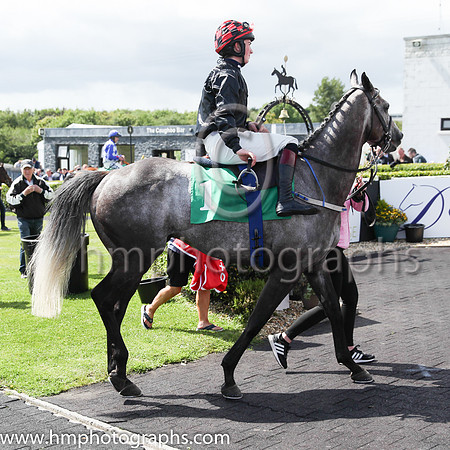01st Dollar Value (1 ,black ) Jockey: M M McDonagh(2) ,Trainer: T G McCourt