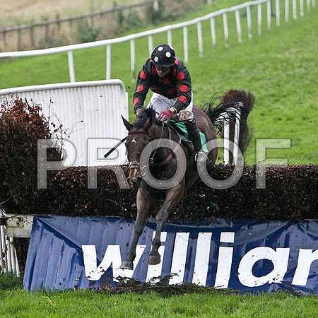 Duroob , 2nd - Jockey J L Cullen- FT8E5418-e