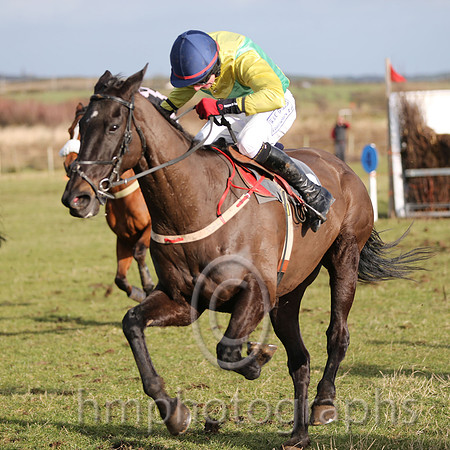 01 Mr Bolt  D H Lavery - Trainer : Sean McParlan, Black and tan check