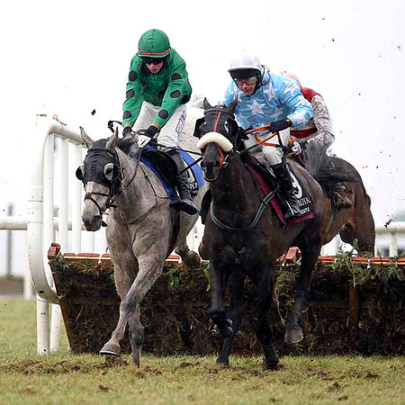 Garryowen Star (Light blue with white stars) Winner, Jockey D J Casey - CU2D3228-e