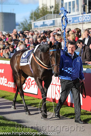 5th Highland Reel ( 6 ) - purple, white seams ( Joseph O'Brien ) : Trainer - A P O'Brien