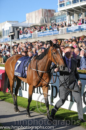 2nd Found ( 7 ) - royal blue, orange disc ( Seamie Heffernan ) : Trainer - A P O'Brien