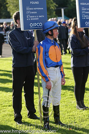 2nd Found ( 7 ) - royal blue, orange disc ( Seamie Heffernan ) : Trainer - A P O'Brien