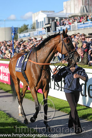 7th Cirrus Des Aigles ( 1 ) - grey, maroon braces ( Christophe Soumillon ) : Trainer - Mme C Barande-Barbe